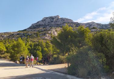 Trail Walking Marseille - 20230922 rando Calanques  - Photo
