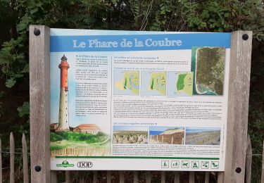 Randonnée Marche La Tremblade - phare de la courbe  - Photo