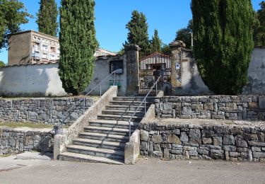 Trail On foot Arezzo - CAI 102 - Photo