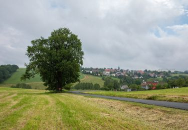 Trail On foot Zettlitz - Rundweg Zettlitz – Auenbachtal – Zettlitz - Photo