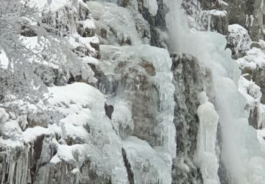 Tocht Stappen La Valla-en-Gier - Le saut du gier gelé  - Photo