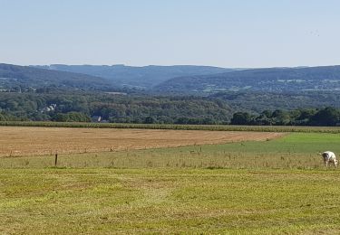 Randonnée Marche Ferrières - sy - Photo