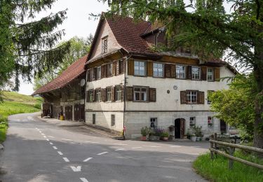 Tour Zu Fuß Weinfelden - Thurgauer Vermessungsweg - Photo
