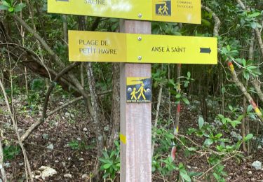 Trail Trail Le Gosier - Petit havre  - Photo