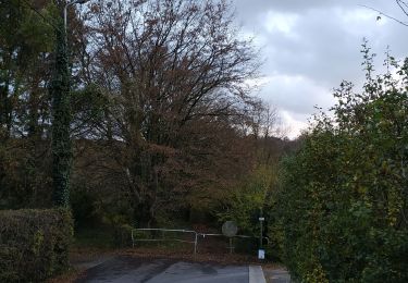 Randonnée Marche Chaudfontaine - bois du manant - Photo