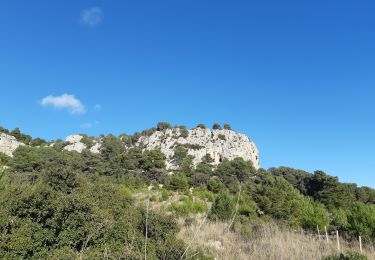 Trail Walking Gruissan - la clape - Photo