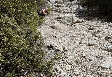 Trail Walking Puyloubier - Puyloubier Ste Victoire, pic des mouches - Photo