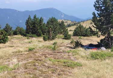 Tocht Stappen Prats-de-Mollo-la-Preste - 8 - Photo