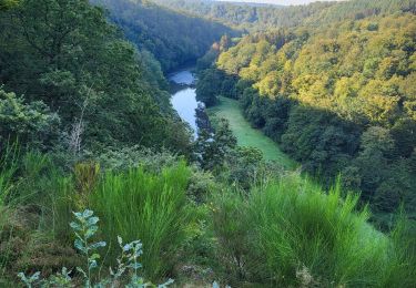 Tour Wandern Chiny - Chiny 190924 - Photo