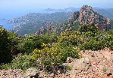 Excursión Senderismo Saint-Raphaël - Pic du Cap Roux par Pic de l'Escale - Photo