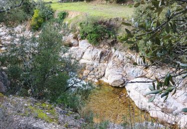 Randonnée Marche Flayosc - Le hameau de Sauveclare - Photo