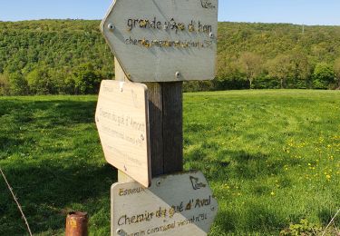 Randonnée Marche Esneux - Autour de Ham - Photo