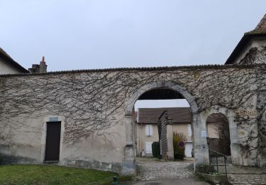 Tocht Stappen Maidières - maidieres - Photo