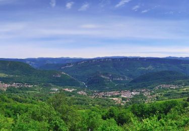 Tour Wandern Lavans-lès-Saint-Claude - belvédère_de_la_Scia_GPX - Photo