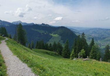 Trail Walking Wildhaus-Alt St. Johann - . Oberdorf - Strichboden en passant Chäserrugg - Photo