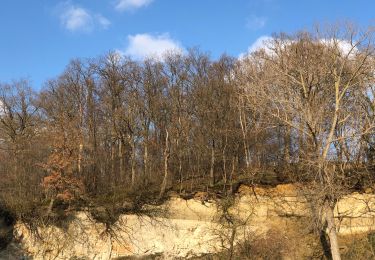 Tocht Stappen Sint-Truiden - Verborgen moois Overbroek-Egoven - Photo