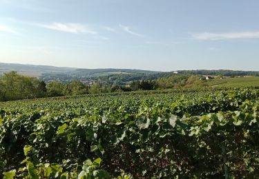 Tocht Stappen Château-Thierry - Randonnée Rose. Reconnaissance du 18-09-2022 - Photo