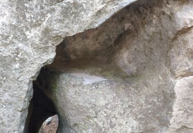 Tour Wandern Fontainebleau - Fontainebleau gorges de Franchard - Photo