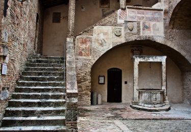 Percorso A piedi San Gimignano - Dolce campagna, antiche mura 19 - Photo