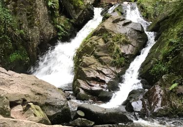 Trail Walking Tendon - Petite cascade du Tendon - Photo