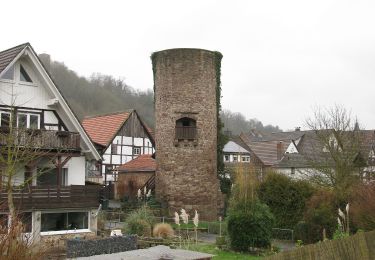 Tour Zu Fuß Bad Karlshafen - Helmarshausen, H2 - Photo