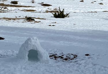Randonnée Raquettes à neige Mijanès - Mijanes station cabane de la mire  - Photo