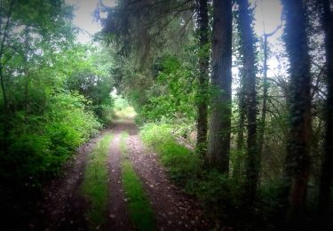 Percorso Mountainbike Anhée - VTT de bioule - Photo