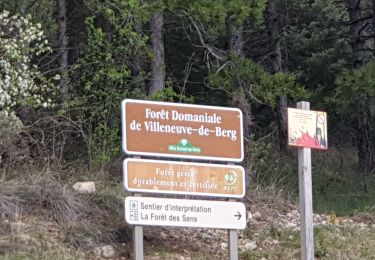 Trail Walking Villeneuve-de-Berg - la forêt des sens Villeneuve de Berg  - Photo
