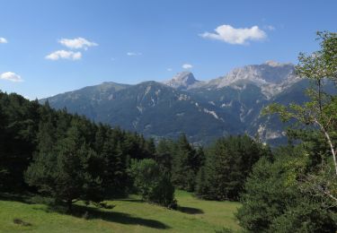 Tour Mountainbike Barcelonnette - VTT Circuit de la Bérarde n°3 - Photo