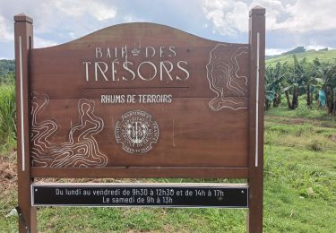 Trail Walking La Trinité - Boucle  Fonds Galion - Grand Galion - Photo
