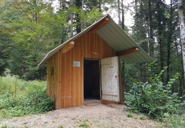 Tour Gleitschirmfliegen Lepuix - Baĺlon d'Alsace - vol rando parapente - retour par Col du Stalon - Photo