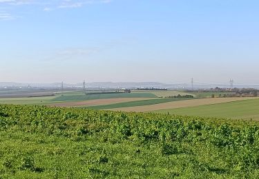 Randonnée Marche Laubressel - Laubressel - Photo