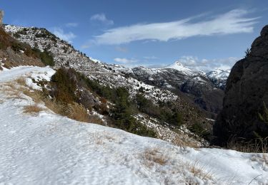 Tocht Sneeuwschoenen Auvare - Col de Sui - Photo