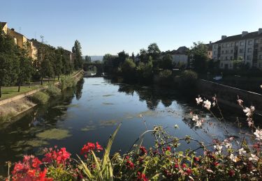 Trail Walking Metz - Metz Cathédrale - Photo