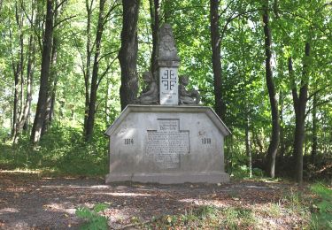 Tocht Te voet Schalkau - Rundwanderweg um Truckenthal 4 - Photo