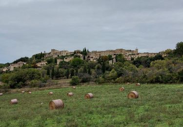 Tour Wandern Château-Arnoux-Saint-Auban - forcalquier - Photo