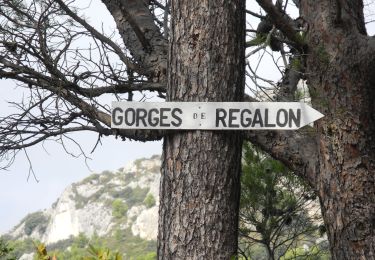 Trail Walking Cheval-Blanc - Wikiloc - Etroit et tellement de cigales - Photo