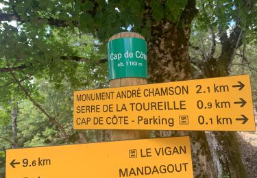 Trail Walking Arphy - Cascade de l’Orgon  - Photo