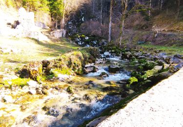 Tocht Auto La Tour-du-Meix - Jura Classic Tour - Tronçon 4 - Photo