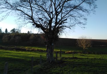 Tour Wandern Blegny - mortier balade 2 - Photo