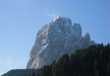 Trail On foot Kastelruth - Castelrotto - IT-18B - Photo