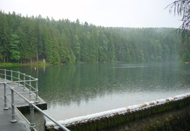 Tour Zu Fuß Tambach-Dietharz - Rundwanderweg Tambach-Dietharz - Photo