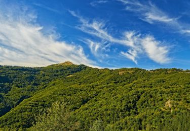 Percorso A piedi Romagnese - Monte Pietra di Corvo - Brallo di Pregola - Passo del Giovà - Photo