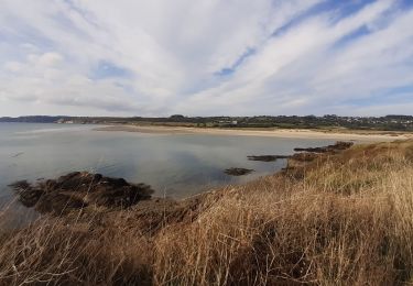 Trail Walking Crozon - L'Aber à la plage de Trez Bellec - Photo