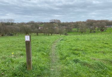 Trail Walking Ternat - Ternat 23,4 km - Photo