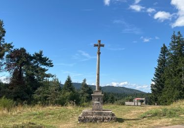 Randonnée Marche Cayres - Grand tour du Lac du Bouchet - Photo