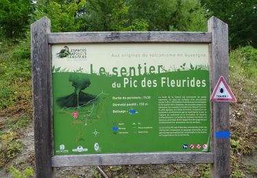 Randonnée Marche Sallèdes - La forêt de la comté  - Photo