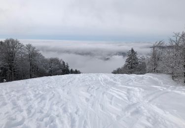 Tocht Ski randonnée Bussang - La bouloie - Photo