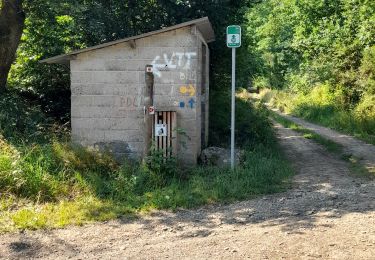 Randonnée Marche Lierneux - lierneux plateau - Photo