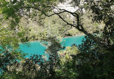 Randonnée Marche Montmeyan - les basses gorges du Verdon  - Photo